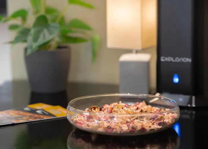 Jr Gate 7 Bologna 4* 칼더라라디레노